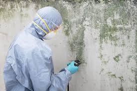 Best Mold Prevention Services  in Riverside, MD